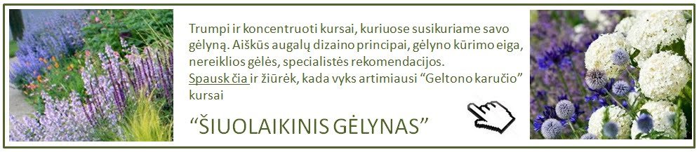 Siuolaikinis gelynas