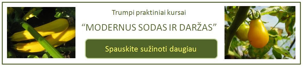 Modernus sodas ir darzas