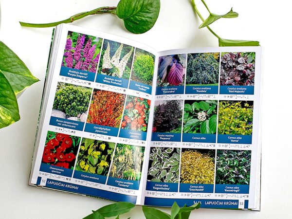 Dekoratyvinių augalų katalogas