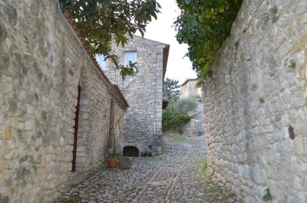 Provanso stilius Geltonas karutis