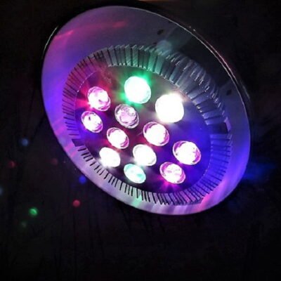 LED augalų lempos: ką rasite įsigyti Lietuvoje