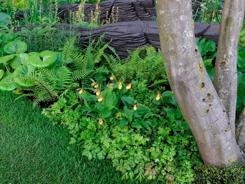 Andy Sturgeon su M&G Garden: dominuojantis žalios ir juodos kontrastas