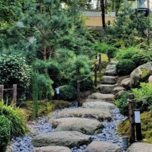 Japoniškas_sodas_viršelis