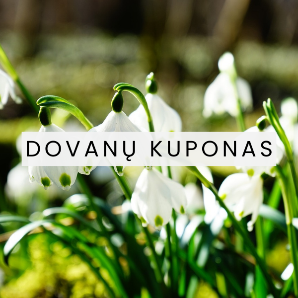 dovanų kuponas