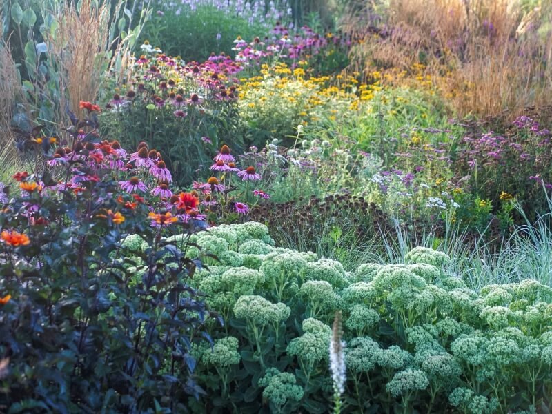 Derinkite gėlių spalvas ir sodinkite augalus atkreipdami dėmesį į augimo sąlygas – tada jie neskurs. Nuotr. R. Šimaitė