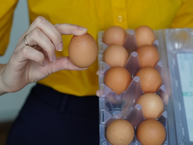 Kiaušinių lukštai – pasilikti daržui ar mesti lauk? Nuotr. Lina Liubertaitė