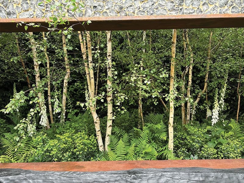 Šis miško maudynių sodas talpina per 50 medžių. Nuotr. Živilė Monika Lazauskienė