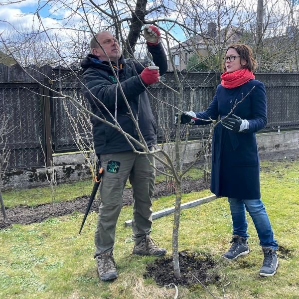 Vaismedžių genėjimo kursai