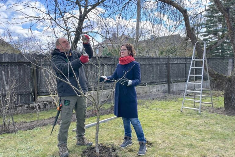 Vaismedžių genėjimo kursai