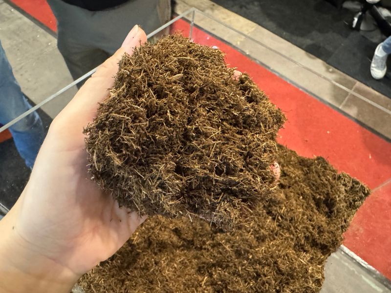 Cukranendriu pluostas kaip alternatyva durpems