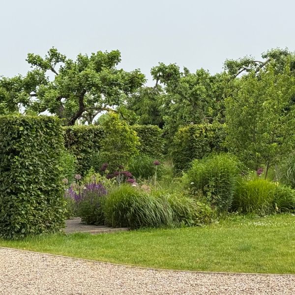 Gyvatvores augalai Aukses sodyboje