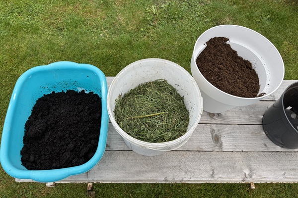 Juoda darzo zeme zole ir pomidorine zeme sekmingas derinys pomidorams