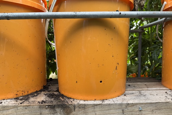 Neiprastas sprendimas skylutes vandens pertekliui nubegti vazono sone