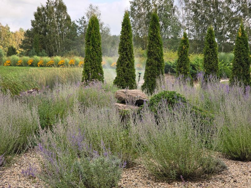 Paprastasis mėlesas Pelėdiškių parke