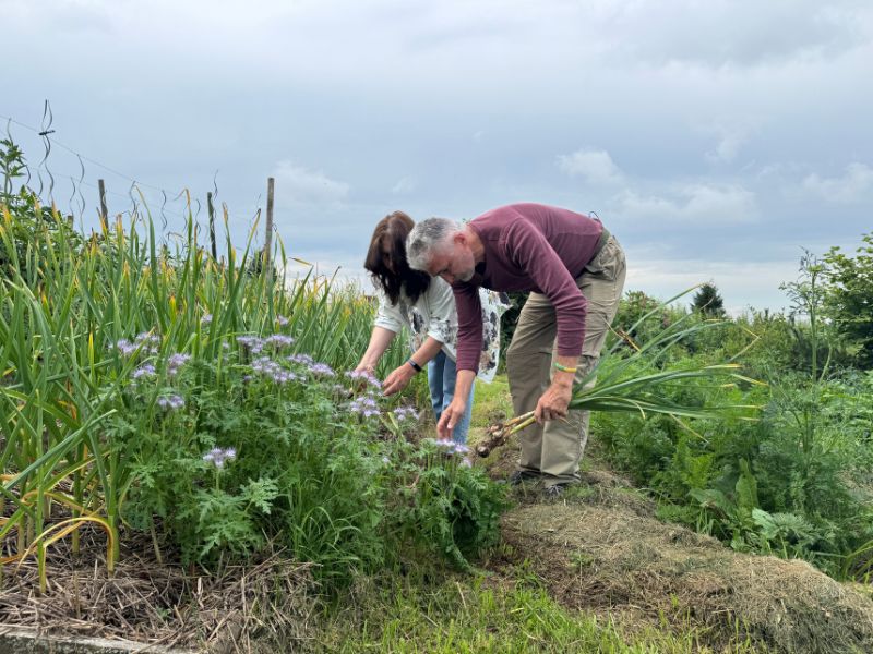 Danguolė ir Vaidas džiaugiasi derliumi