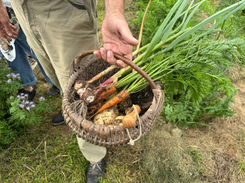 Gamtinė žemdirbystė praktiškai - derlius be kasdienio vergavimo lysvėse