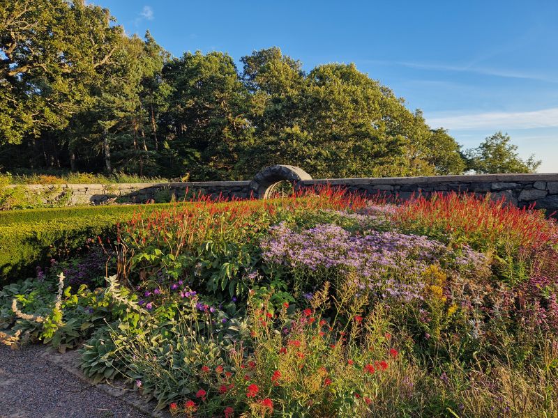 Paėjėjus toliau formalumas išnyksta