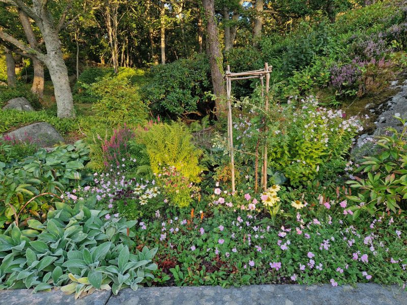 Sodo dalis, kurioje planavimas turėtų likti nepastebimas