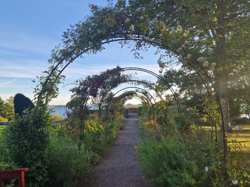 Sodo struktūra, kurią atveria mažoji architektūra, augalai