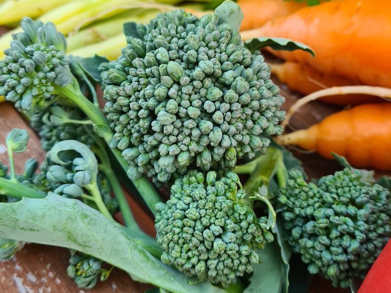 Geras dirvožemis leidžia daržovėms sukaupti visas vertingas medžiagas