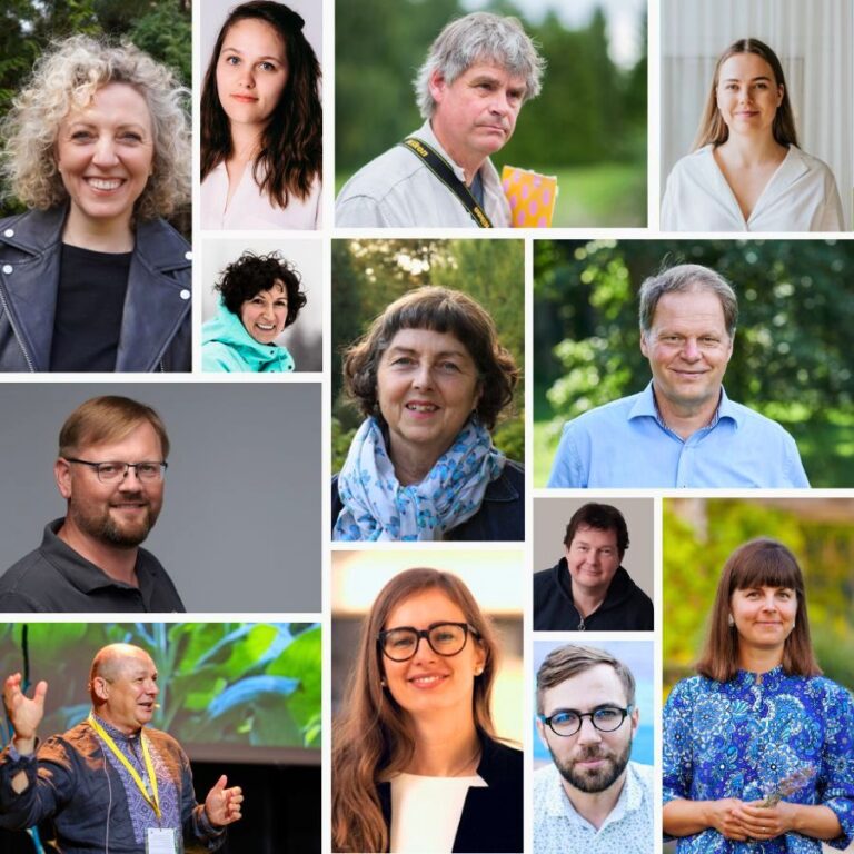 Kraštovaizdžio dizainas